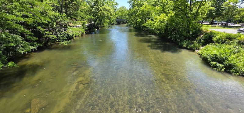 Tubing and Swimming in the Little River