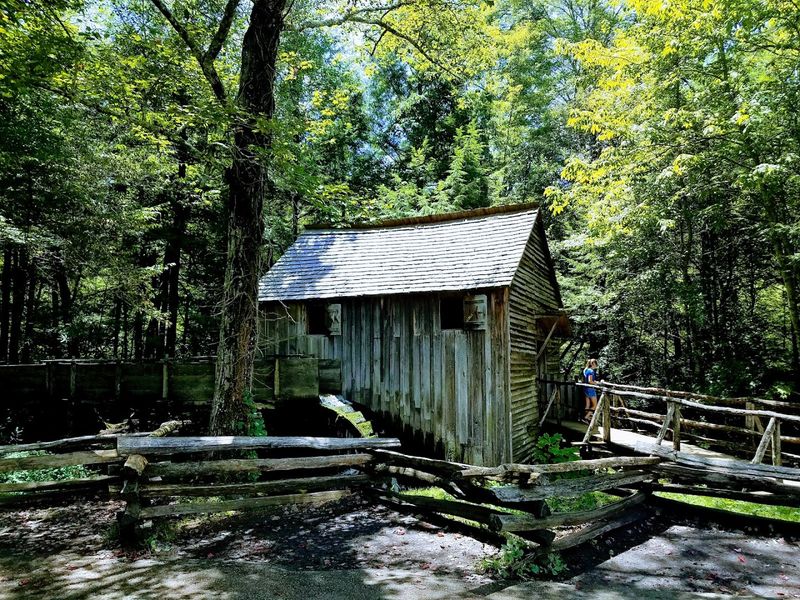 Cades Cove Loop Road - Townsend, Tennessee