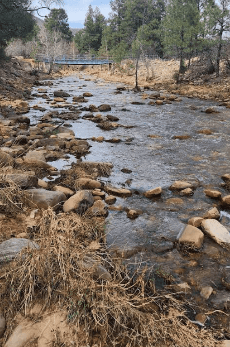 Fishing and Creek Adventures Along Beautiful Waterways