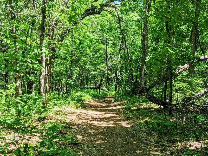 Hiking Trails Through Dunes and Wooded Paths