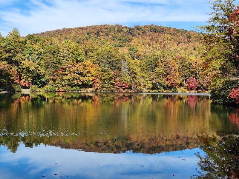 Fall Foliage That Takes Your Breath Away