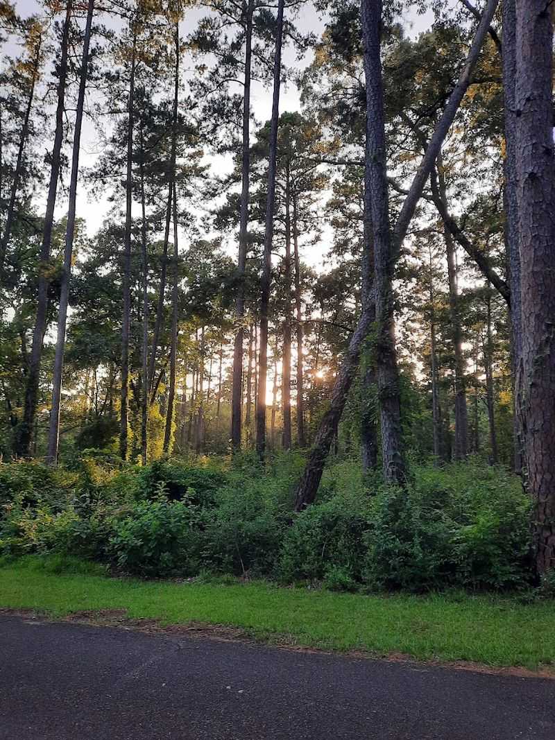 Cozy Cabins with All the Essentials