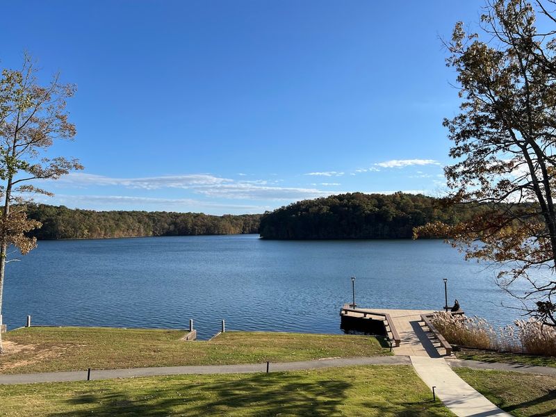 Comfortable Cabins With Lakeside Views