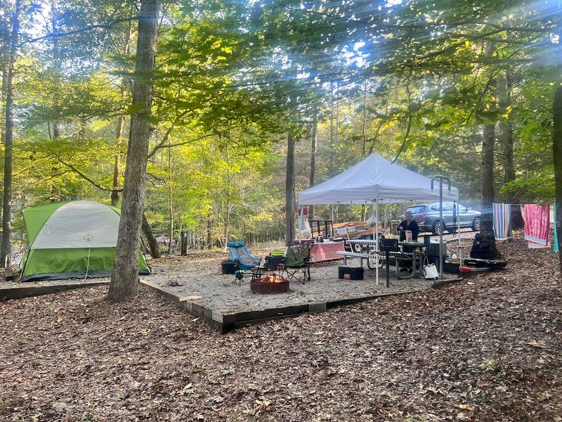 Camping Spots for Tents and RVs