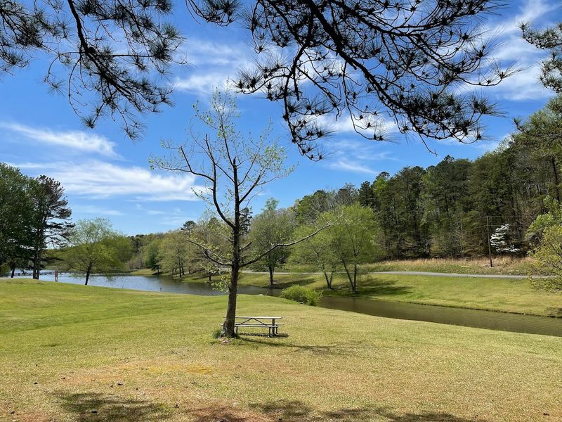 Picnic Areas That Make Lunch an Experience