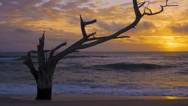 Camping Under Coastal Stars