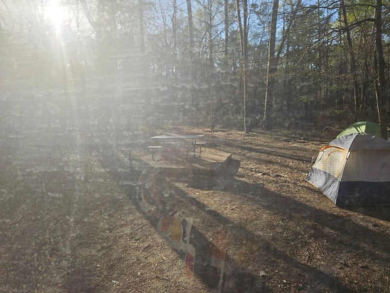 A hidden Texas state park filled with trails, trees, and hardly any crowds 7 Cozy Cabins for a Comfortable Getaway