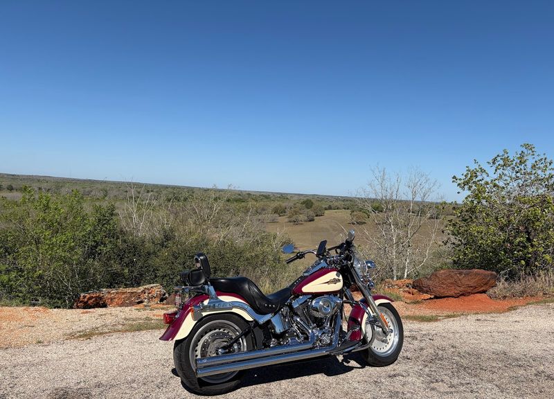 Birding Opportunities That Draw Nature Lovers From Across the State