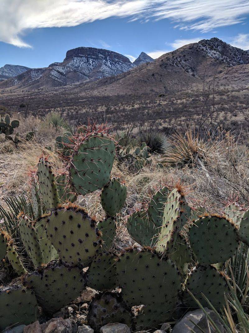 Hiking Trails Through Stunning Desert Scenery