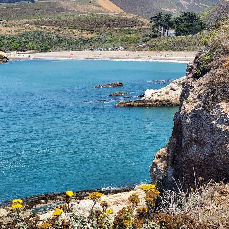This Small California State Park Is Perfect For Letting Go Of Stress 8 The Eucalyptus-Lined Drive In: Nature's Welcome Mat