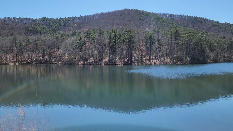 Wildlife and Nature Spotting