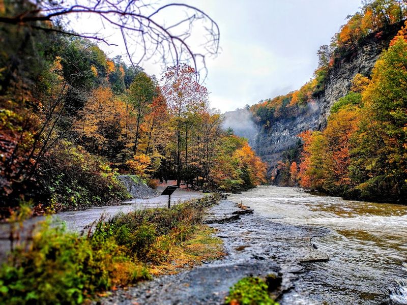 Wildlife and Birdwatching Opportunities