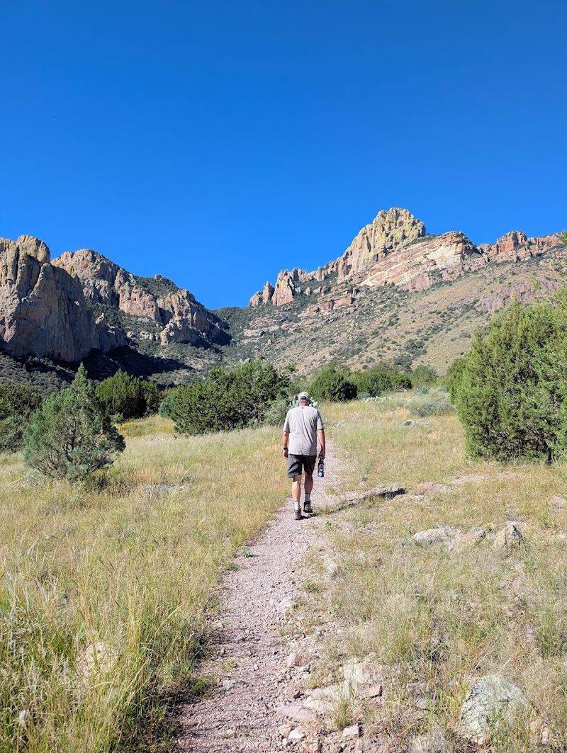 The Visitor Center: Your Best First Stop in the Park