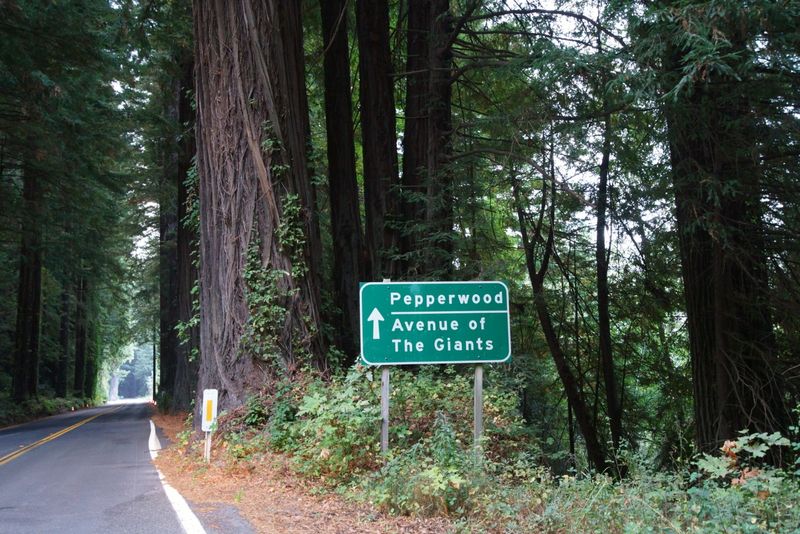 The Towns Along the Route: Small, Charming, and Worth a Stop