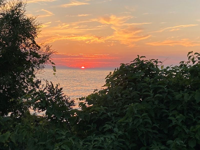 Camping Under the Stars on a Secluded Island