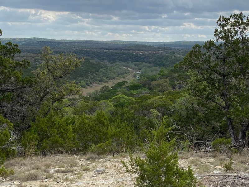 Bird Watching at the Bird Blind