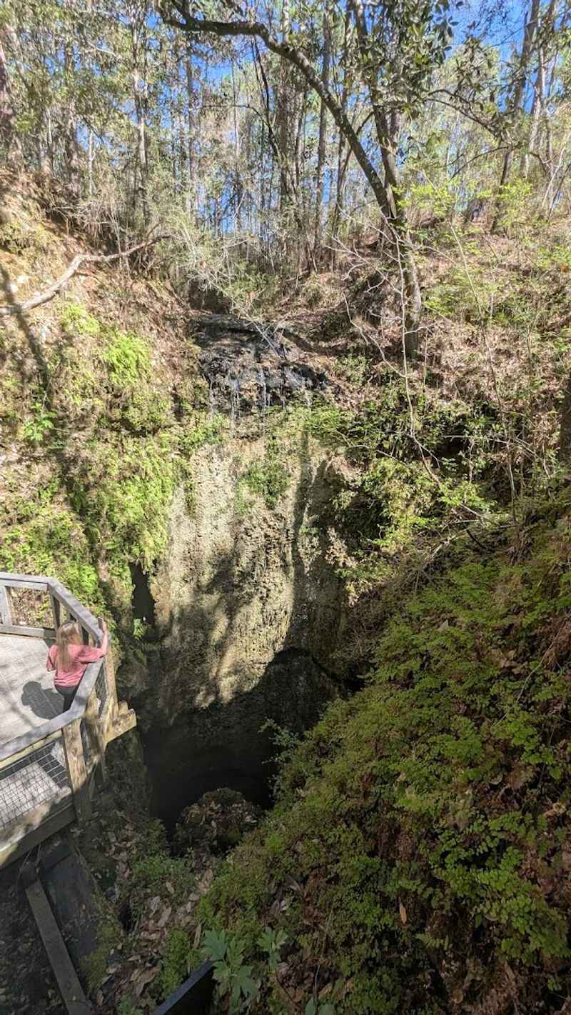 Turtle Lake and the Small Swim Area