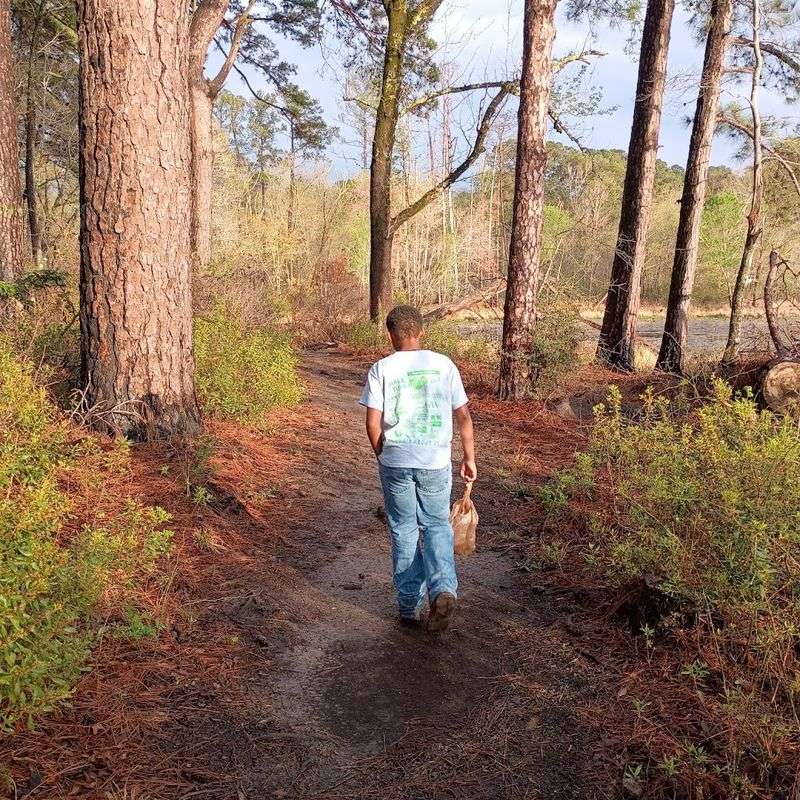 A hidden Texas state park filled with trails, trees, and hardly any crowds 5 Hiking Trails for Every Skill Level