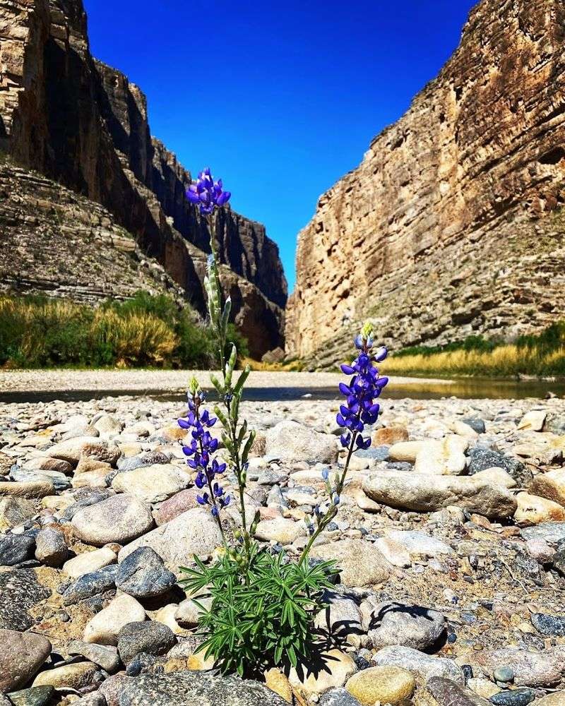 Visiting During Different Seasons