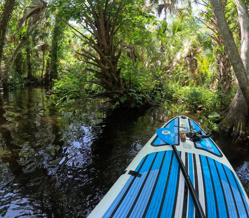 Paddleboarding: A Fresh Perspective on the Run