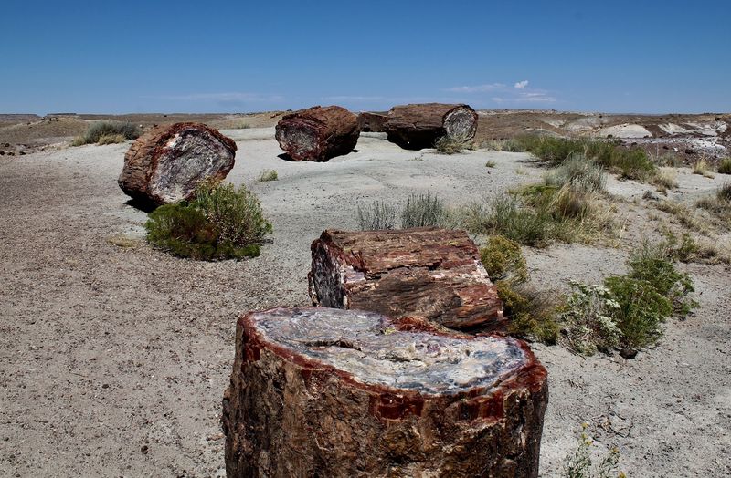 Petrified Forest National Park - Arizona