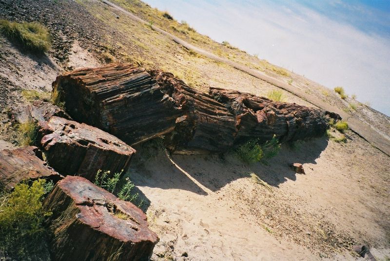 Petrified Forest National Park - Arizona