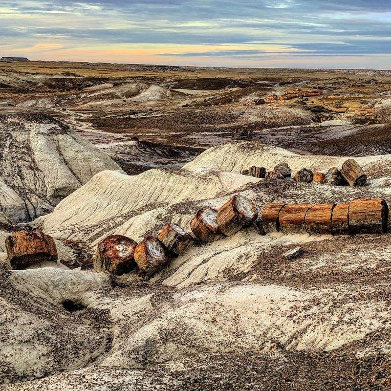 Arizona Desert Landmarks That Look Too Surreal to Be Real 8 Petrified Forest National Park - Arizona