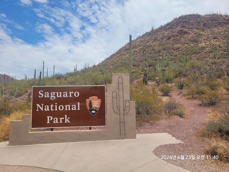 Saguaro National Park - Tucson, Arizona