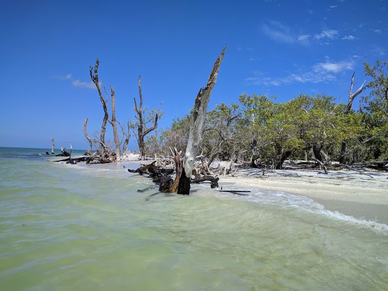 Florida Islands That Feel Far Removed From Everyday Life 10 Cayo Costa - Florida
