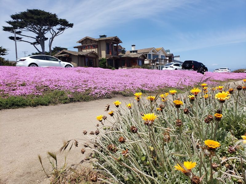 Pacific Grove - California