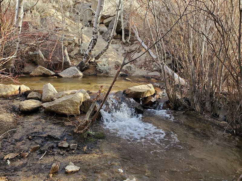 A peaceful Nevada town where time seems to slow and life feels easier 9 Eagle Valley Creek Trail