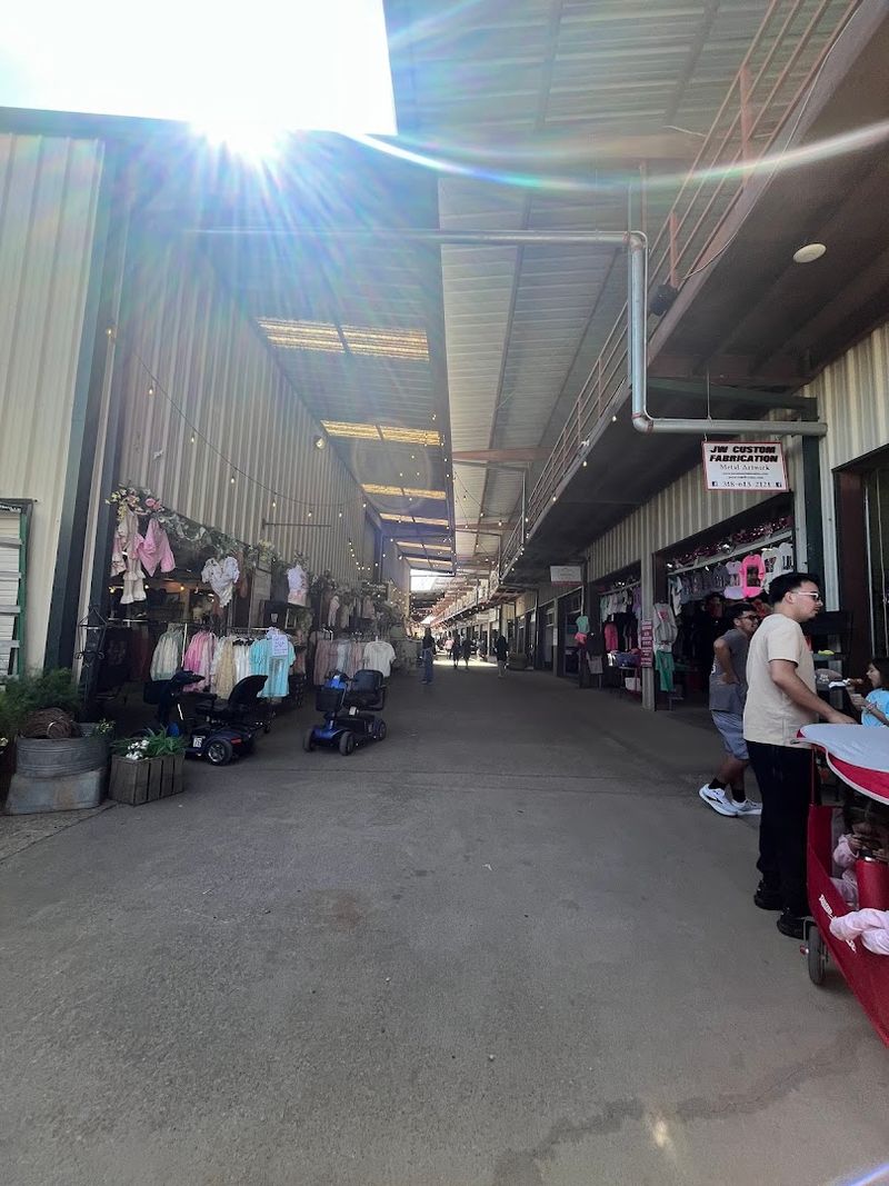 Covered Pavilions and Shade Trees for Comfortable Browsing