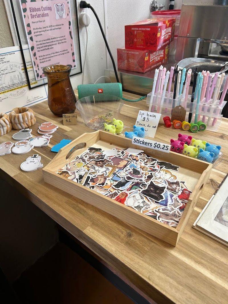 This Arizona Cat Cafe Has Become The Kind Of Wholesome Hidden Gem Animal Lovers Can't Stop Talking About 8 A Gift Shop Full of Feline Finds and Local Treasures