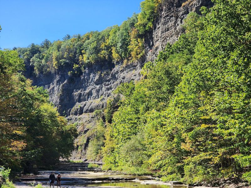 Camping Under the Stars