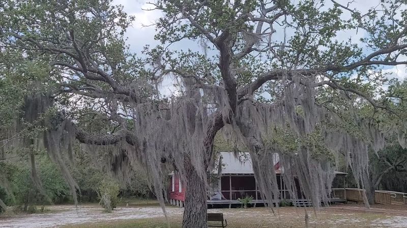 Cedar Key Museum State Park - Cedar Key, Florida