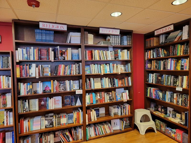 Blind Date With a Book