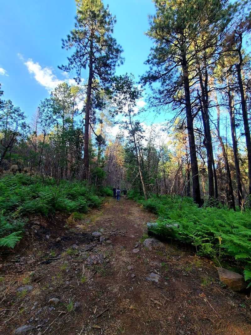 Stellar Dark Skies Perfect for Stargazing
