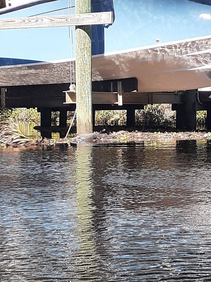 Inglis - Inglis, Florida