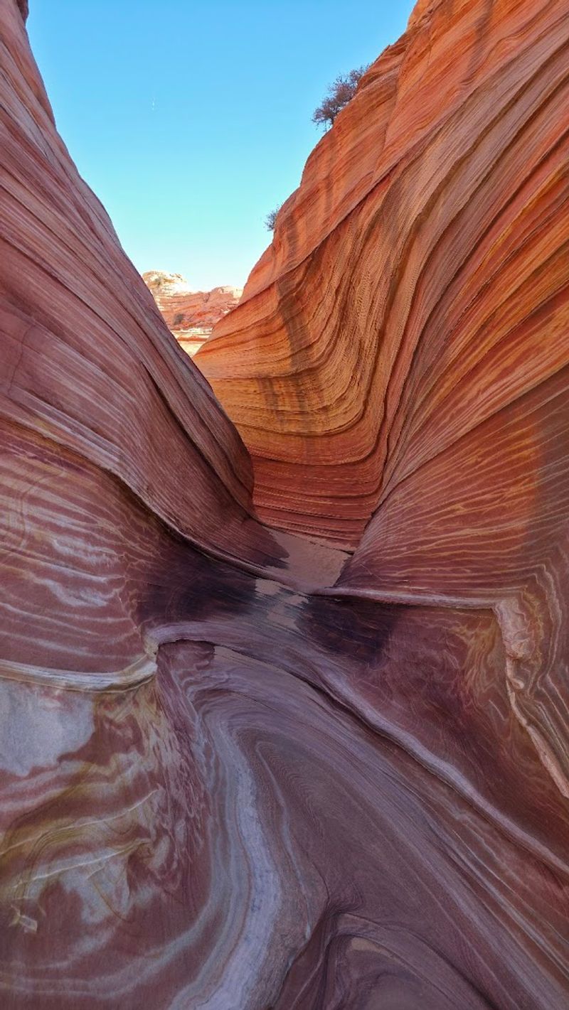Vermilion Cliffs National Monument - Marble Canyon, Arizona