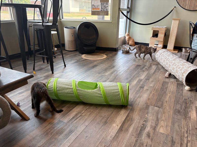 Great for Groups, Families, and Team Building