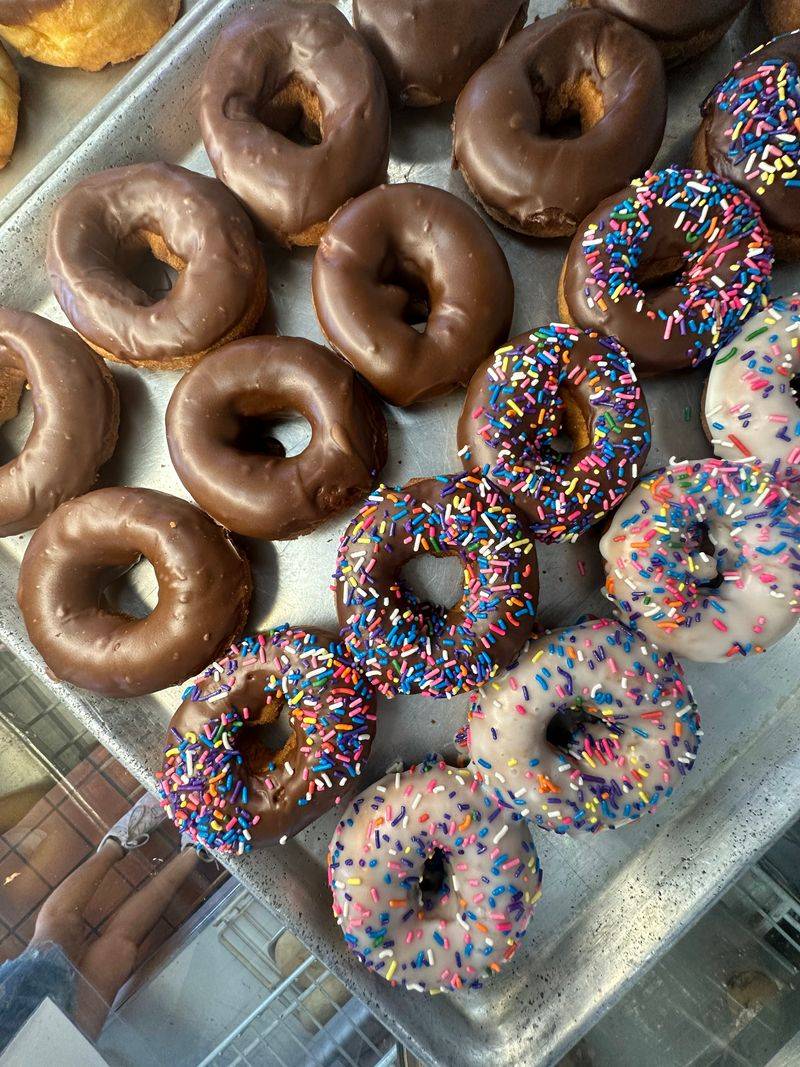 Chocolate Iced With Sprinkles