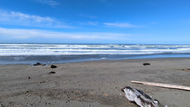 California Dog Beaches That Make Every Trip Better With Your Pup 21 Mad River Beach County Park - Arcata, California