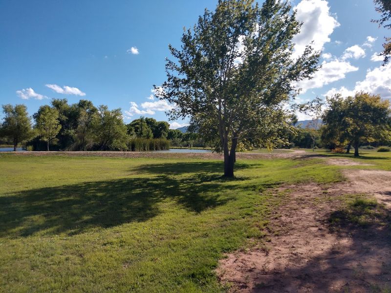 A Playground and Green Space for Younger Visitors