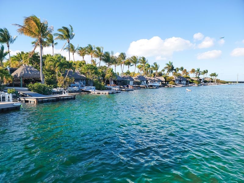 Free Wi-Fi Keeping You Connected in Paradise