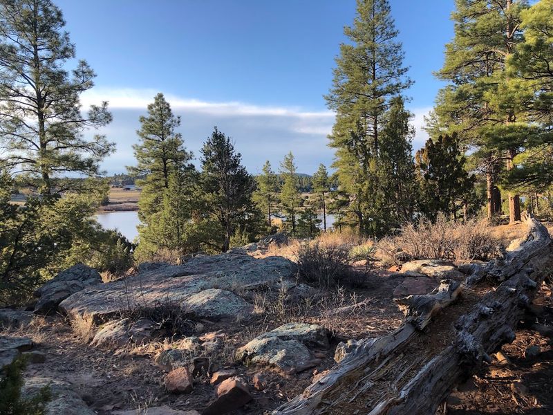 Scenic Hiking Trails Around the Lake