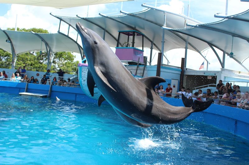 Miami Seaquarium - Miami, Florida