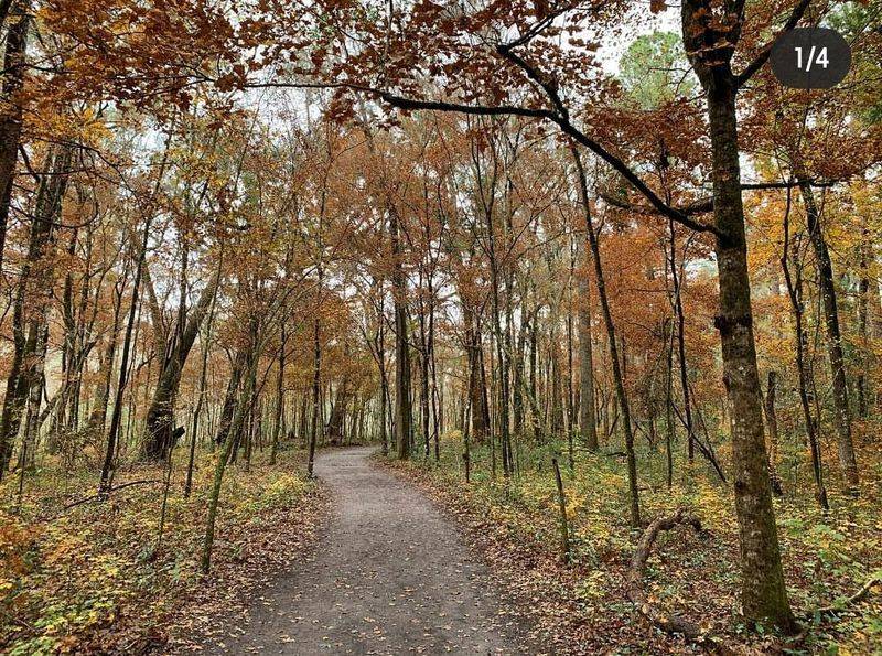 Natural Springs and Outdoor Adventures Nearby