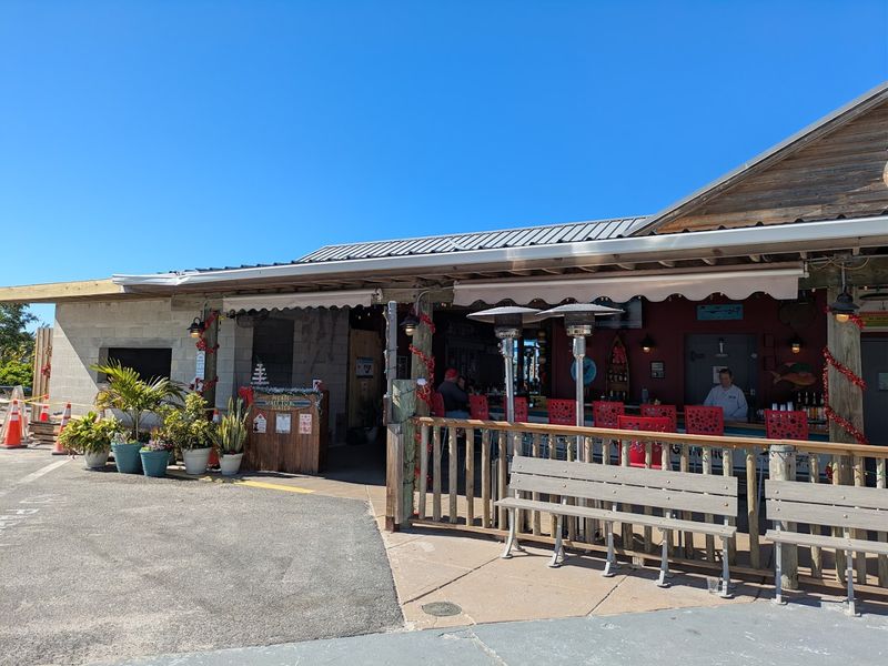 The Old Salty Dog - Sarasota, Florida