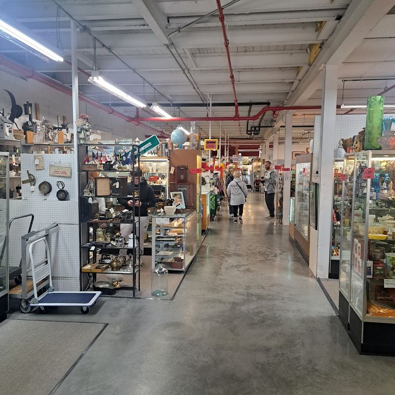 Clean, Well-Lit Spaces That Make Browsing a Pleasure