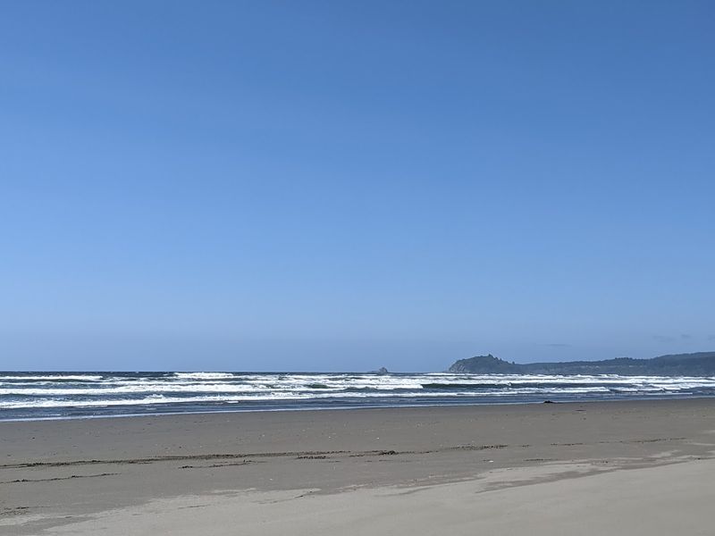 California Dog Beaches That Make Every Trip Better With Your Pup 20 Clam Beach County Park - McKinleyville, California